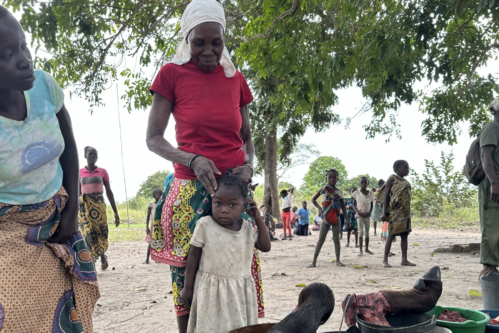 Meat Drops Zambeze Delta Safaris