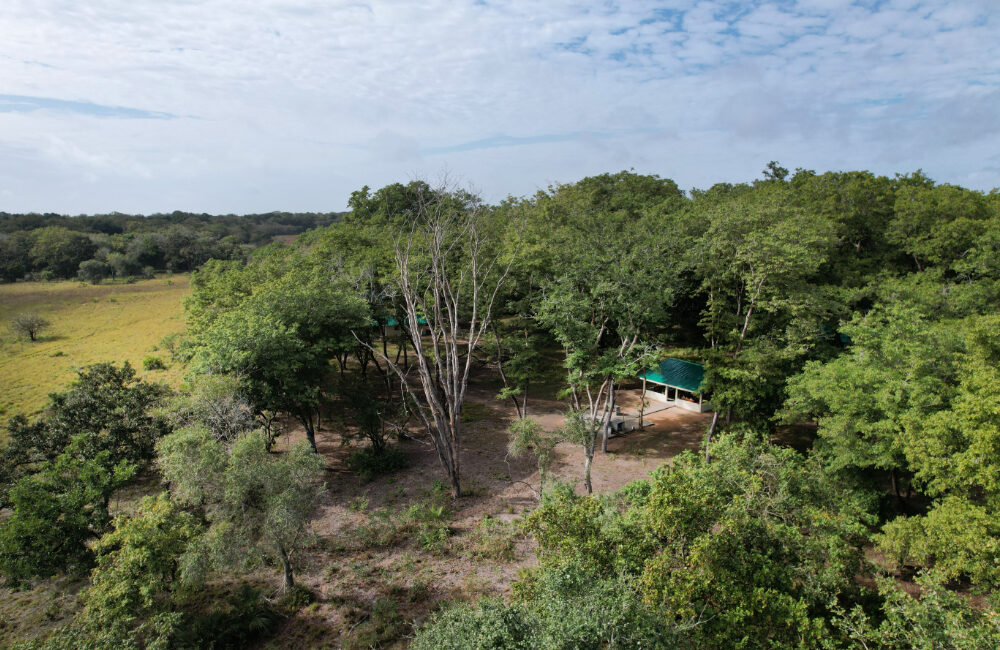 Zambeze Delta Safaris Bambala Camp