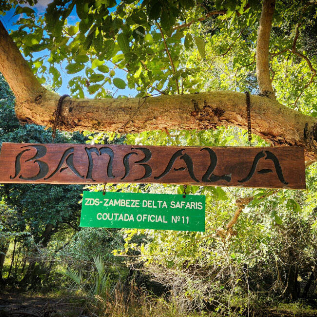 Zambeze Delta Safaris Bambala Camp