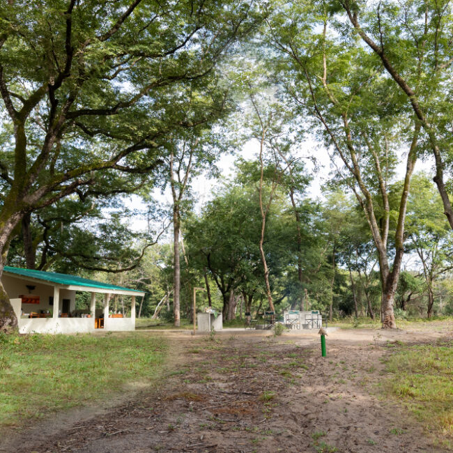 Zambeze Delta Safaris Bambala Camp