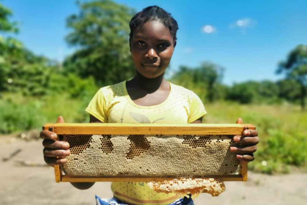 Zambeze Delta Safaris Community Project Beekeeping