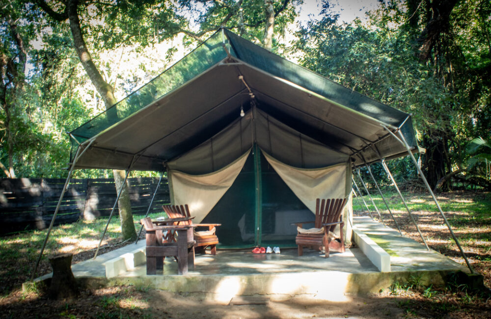 Mungari Camp Zambeze Delta Safaris