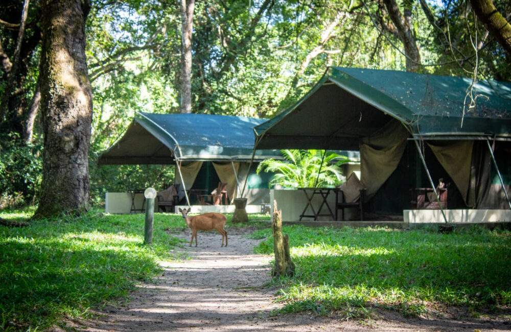 Mungari Camp Zambeze Delta Safaris