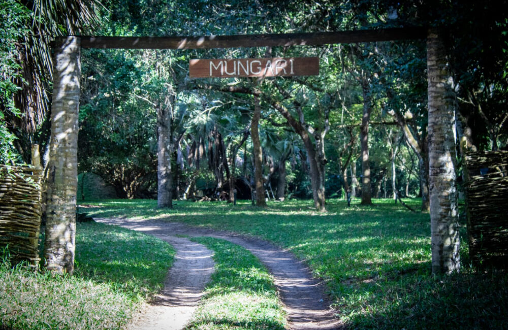 Mungari Camp Zambeze Delta Safaris