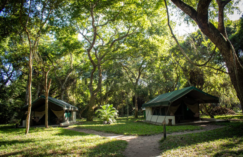 Mungari Camp Zambeze Delta Safaris