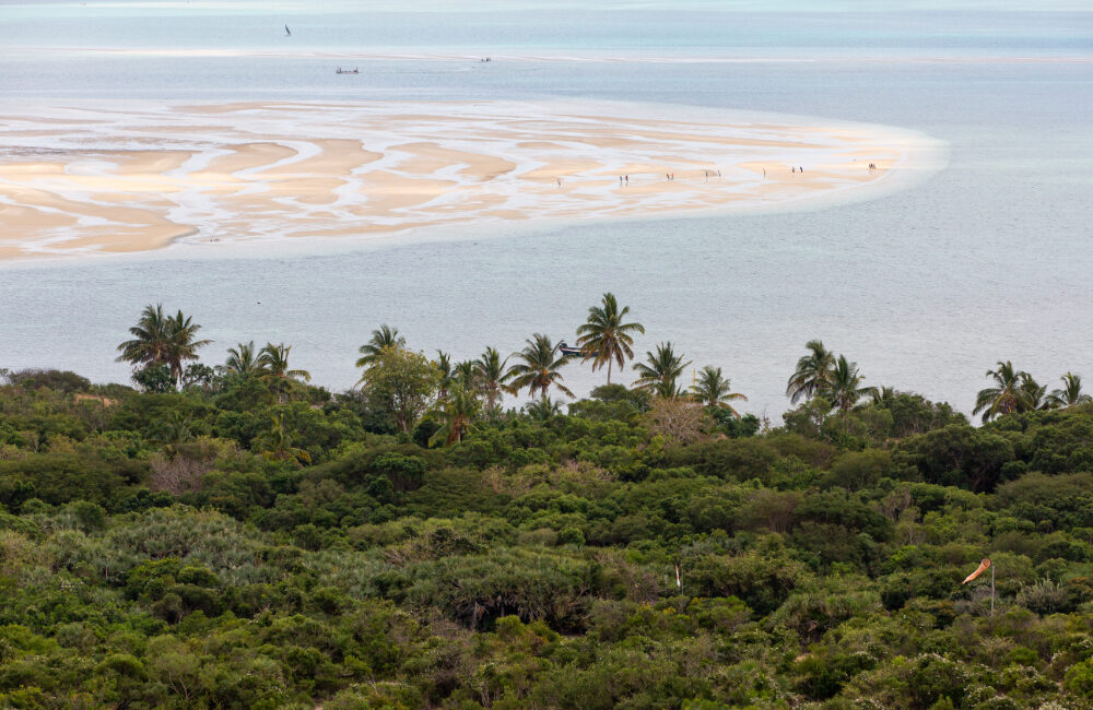 Zambeze Delta Safaris Buffalo and Billfish Hunt Vilanculos