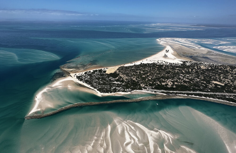 Zambeze Delta Safaris Buffalo and Billfish Hunt Vilanculos