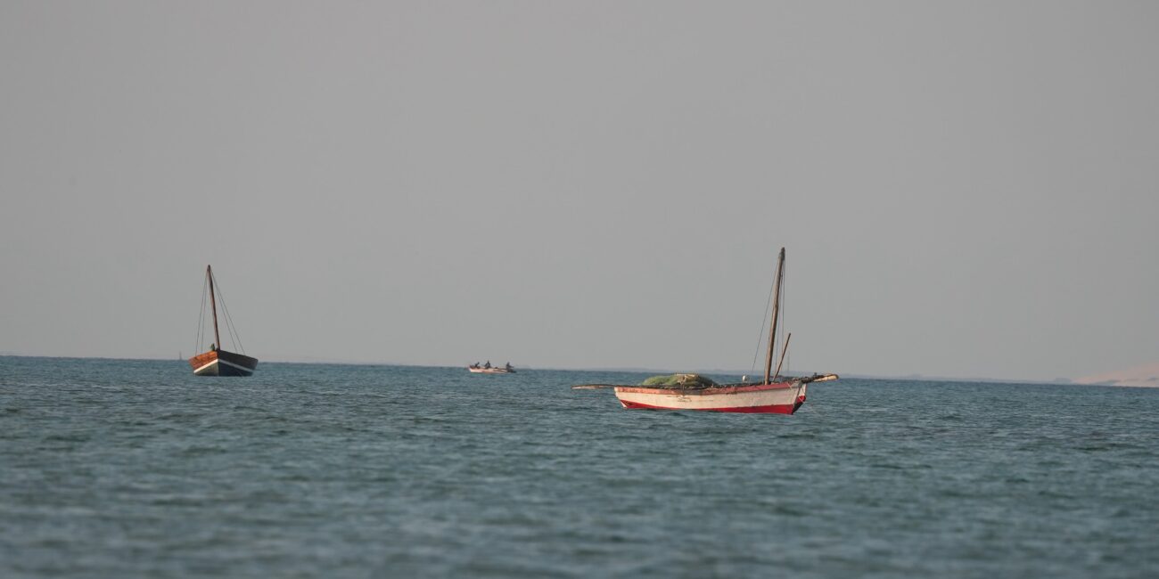 Zambeze Delta Safaris Vilanculos