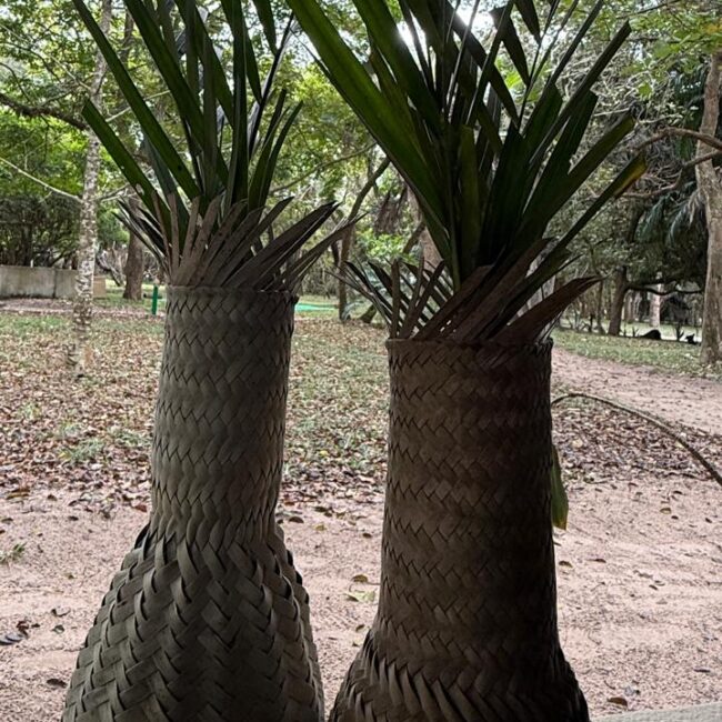 Zambeze Delta Safaris Shop
