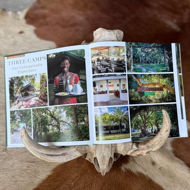 Zambeze Delta Safaris Shop