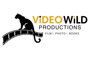 Video Wild logo_1